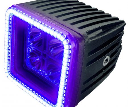 Oracle Lighting Off-Road 3 in. 20W Square LED Spotlight with U/VPurple Halo 5777-007