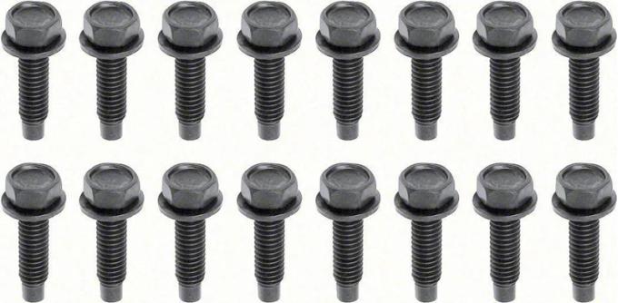 AMD Lower Door Hinge Bolt Set (16pcs), 68-81 Camaro Firebird; 68-74 Chevy II Nova; 68-72 Chevelle El Camino K-K196