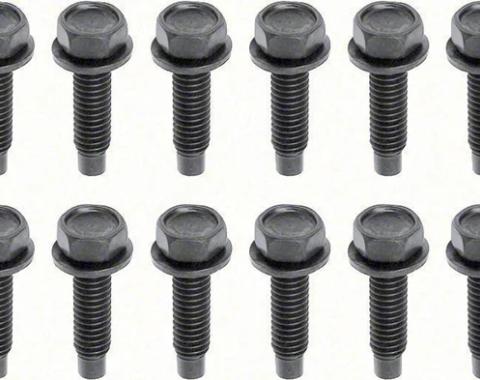 AMD Lower Door Hinge Bolt Set (16pcs), 68-81 Camaro Firebird; 68-74 Chevy II Nova; 68-72 Chevelle El Camino K-K196