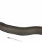 Proforged Right Outer Tie Rod End 104-10759