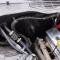 Vintage Air 1988-92 Chevrolet Camaro with Factory Air Gen 5 SureFit™ Complete Kit 965707