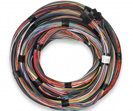 Holley EFI Unterminated 15' Flying Lead Main Harness 558-126