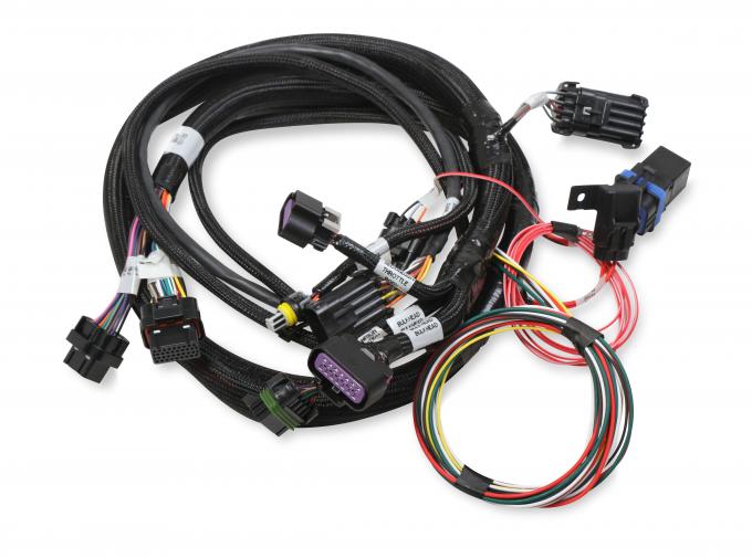 Holley EFI Terminator Stealth 2x4 MAIN HARNESS 558-121