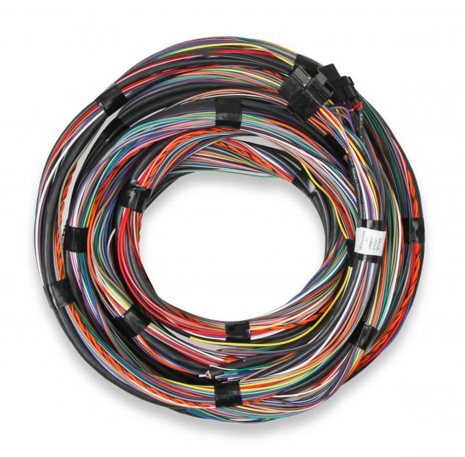 Holley EFI Unterminated 15' Flying Lead Main Harness 558-126