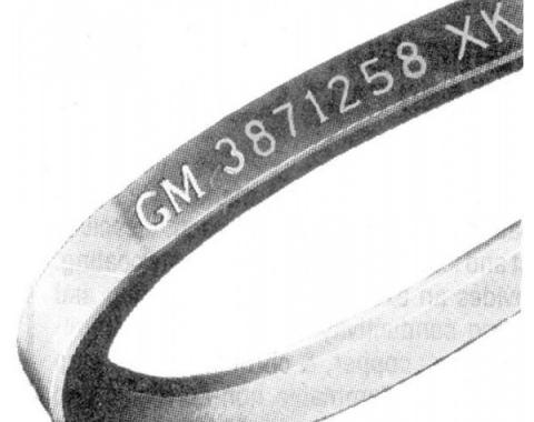 Nova And Chevy II Generator Belt, V8, Without AC, 1964