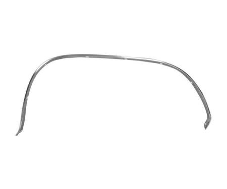 Dynacorn Rear Wheel Opening Moulding LH 66-67 M1663
