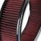 Holley GM Licensed Vintage Air Cleaner 120-173
