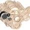 Holley Accessory Drive Kit 20-140BK