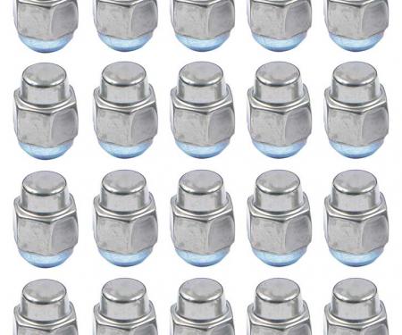 OER 7/16"-20 Late Design Low Crown Stainless Acorn Style Lug Nut - Set of 20 *881229